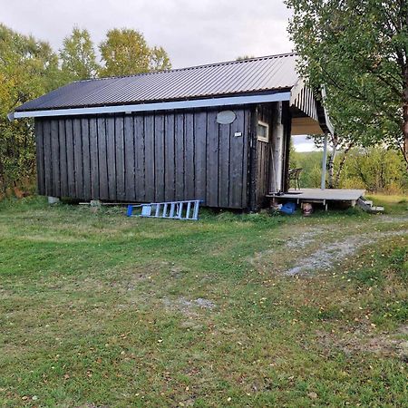 Bungalaven Lodge As Borselv Luaran gambar